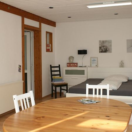 Gemuetliches Grosszuegiges Apartment Hoehr-Grenzhausen Exterior photo